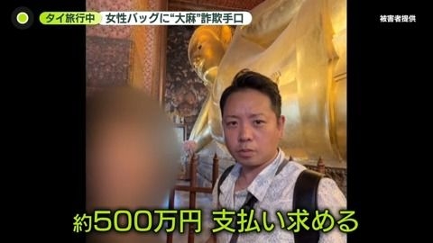 バッグに大麻のような葉「いきなり犯罪者に…」“アプリ交際”女性から約500万円詐取か…その手口（2026年1月17日掲載）｜日テレNEWS NNN