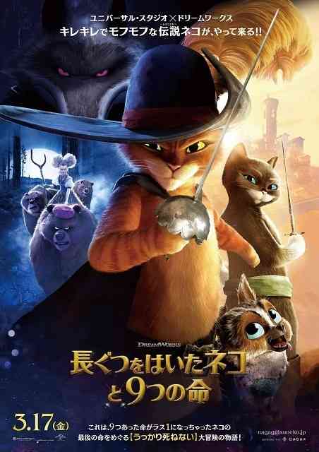 猫好きの心をくすぐる映画、教えてください