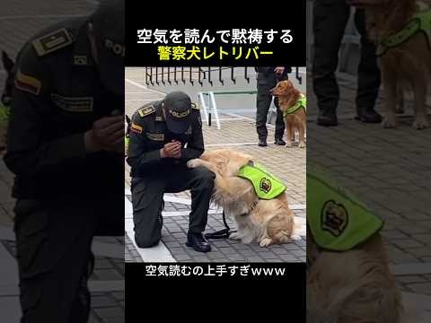 空気を読んで黙祷する警察犬レトリバー
