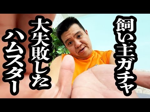【閲覧注意】飼い主ガチャ、大失敗したハムスター【ジェラードン】