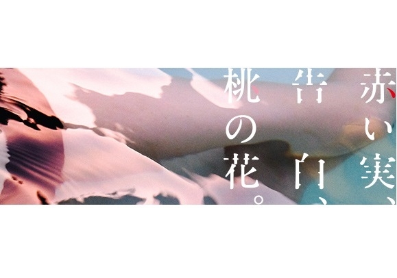 vol.9「す」さん 〜渋谷タワレコで始まり新宿アルタで終わる恋〜