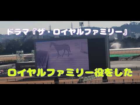 ドラマのロイヤルファミリー役で出演したブレイヴソルジャー(牡3)がデビューした❗