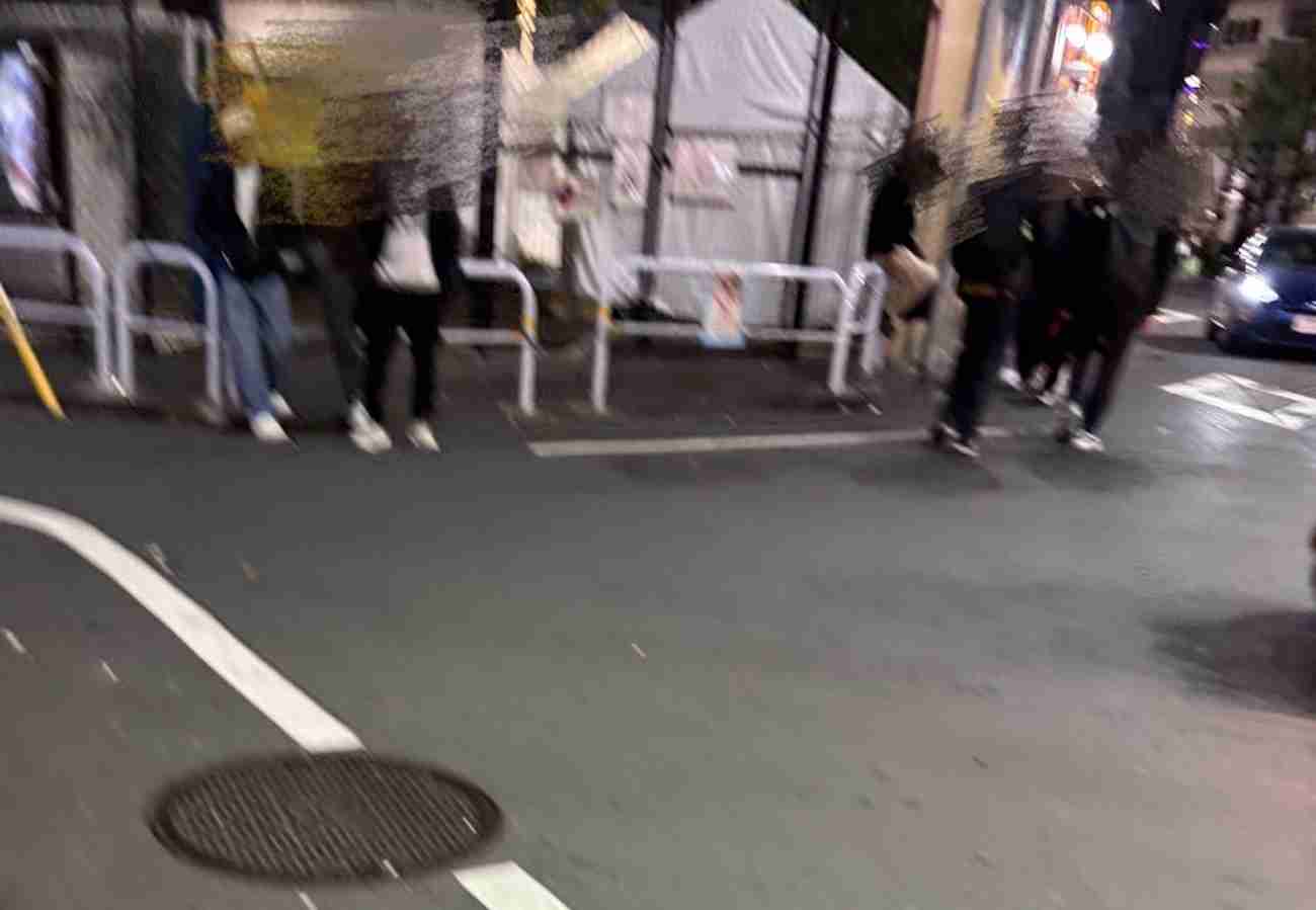         大久保公園「立ちんぼ最新事情」を元セクシー女優が取材した結果…座りながら客を待つ“外国人女性”も  |  日刊SPA!    