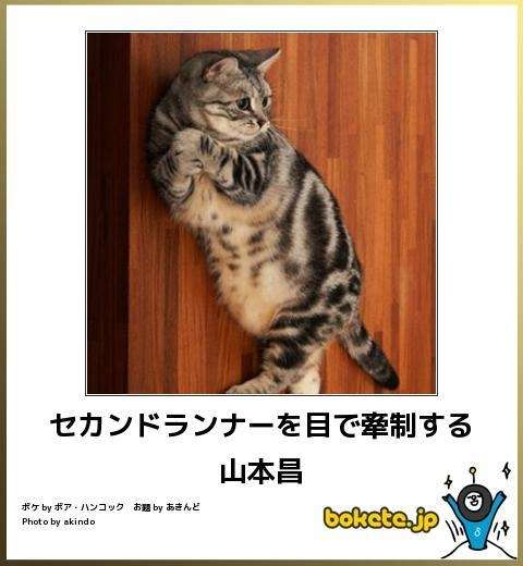 何度見ても笑ってしまう好きな写真を貼るトピ