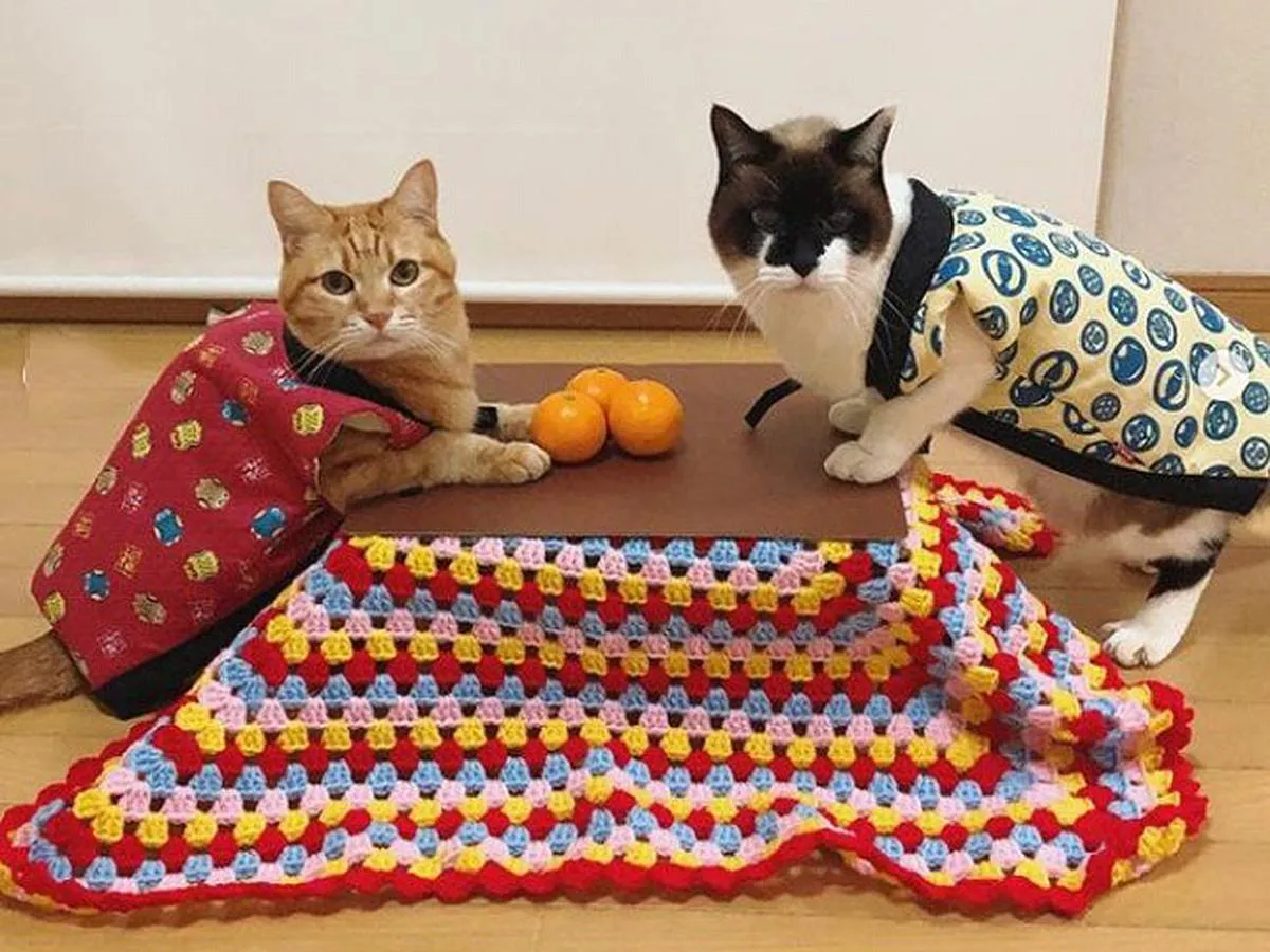 語尾に♥️をつけてお喋りするトピ♥️