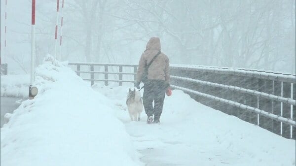 広く“冬の嵐”12日にかけ猛吹雪も　空の便 数便が欠航　交通機関の乱れに注意｜FNNプライムオンライン