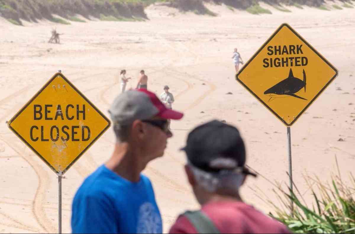 2日間で4件のサメ襲撃、オーストラリアのビーチが今年これほど危険な理由は - CNN.co.jp
