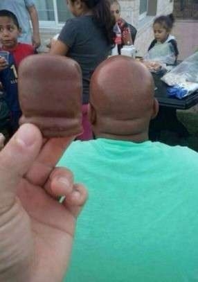 何度見ても笑ってしまう好きな写真を貼るトピ