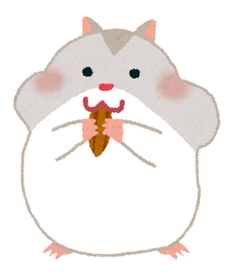 ハムスターのオヤツ🐹