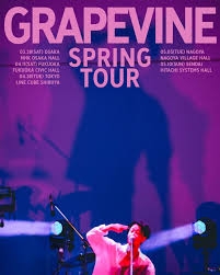 GRAPEVINEについて