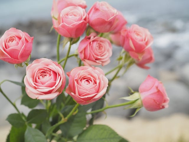 少しだけ裕福な専業主婦の皆様〜Part3