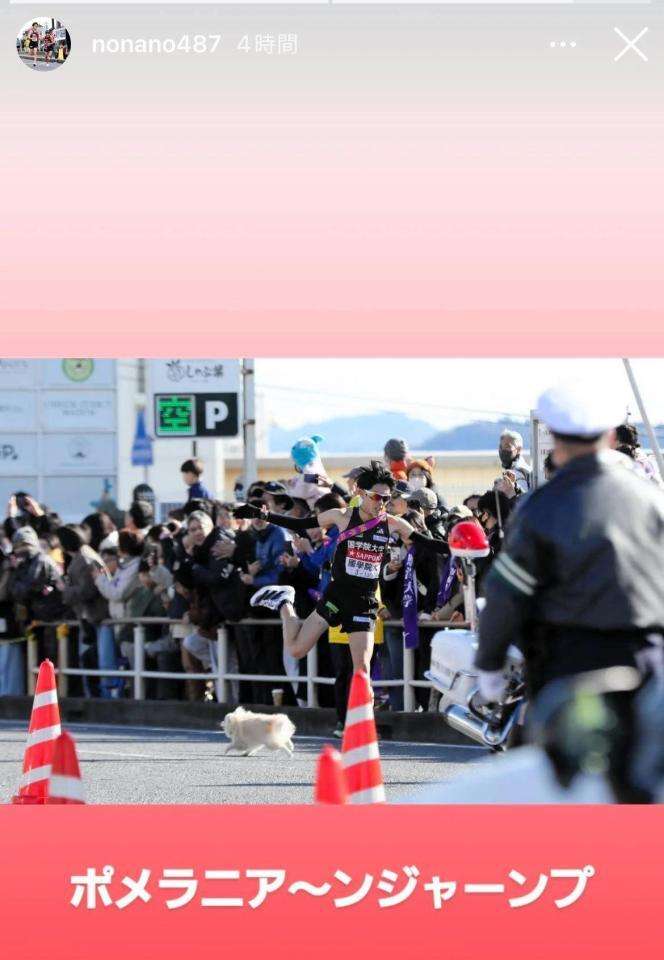 波紋　箱根駅伝でコース上に犬乱入　選手の走行妨害の場面も　SNS「前代未聞」怒りの声も「重大事故につながる可能性あった」 | ガールズちゃんねる - Girls Channel -
