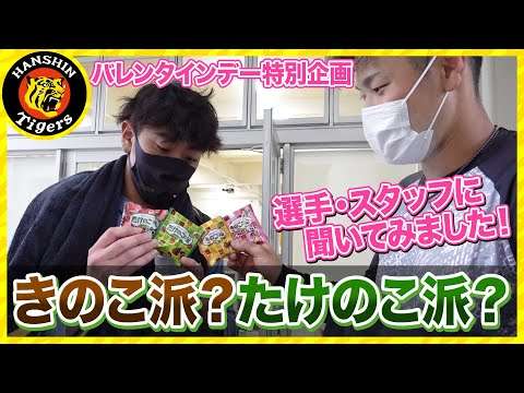 【きのこ派？たけのこ派？】タイガース内で究極の二択！！