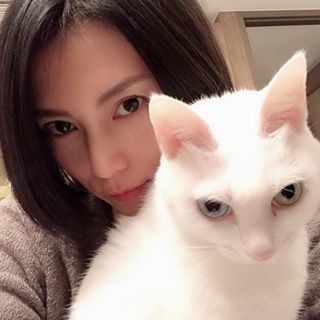 猫顔だと思う有名人 Part2