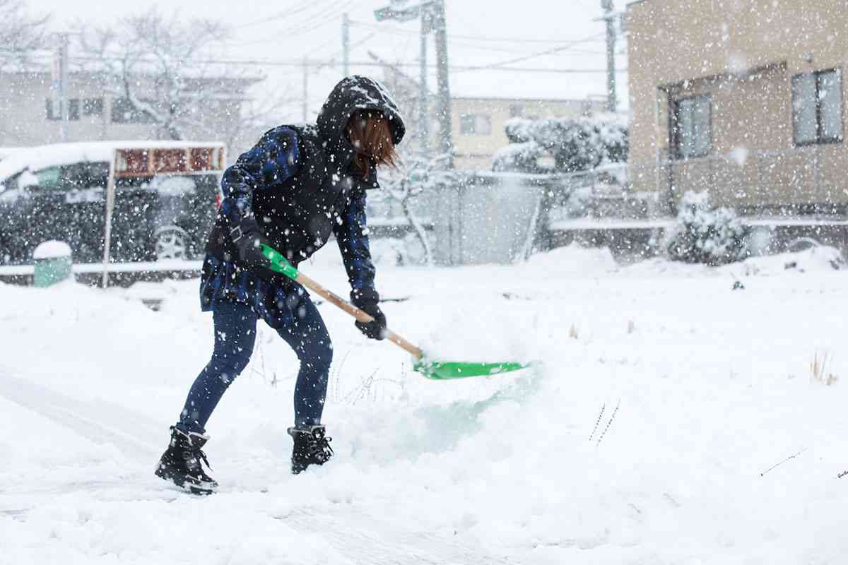 実は日本が「最大の被害者」…　異常気象で日本はどう変わる？　「桜が咲かない地域が出てくる」「国力が損なわれる」 | デイリー新潮
