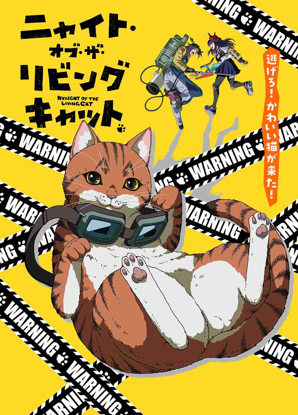 猫好きの心をくすぐる映画、教えてください