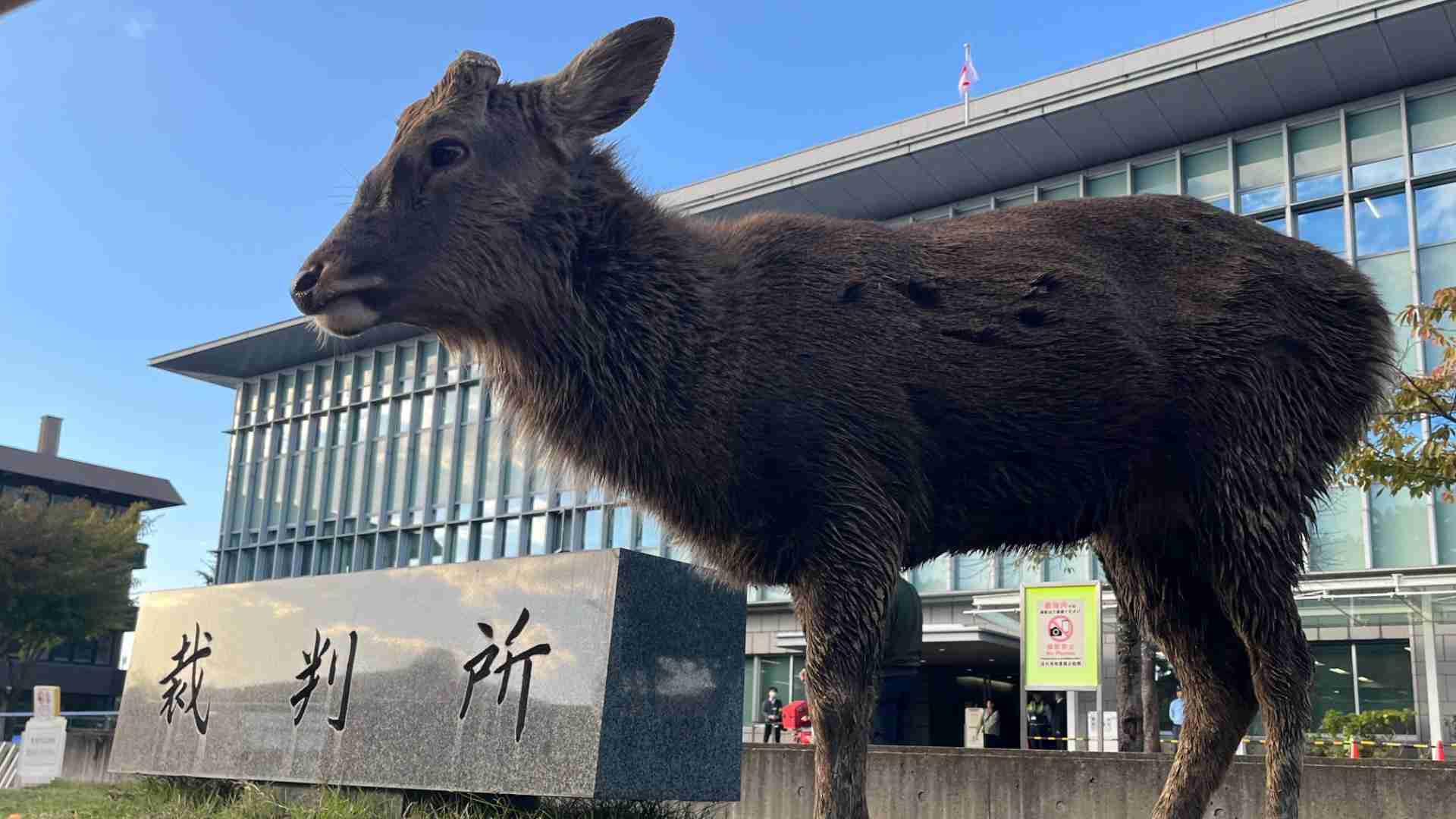【検証 安倍元首相殺害事件】メディアが報じていないファクト　山上被告､自身の報道で｢不正確なものも｣（楊井人文） - エキスパート - Yahoo!ニュース
