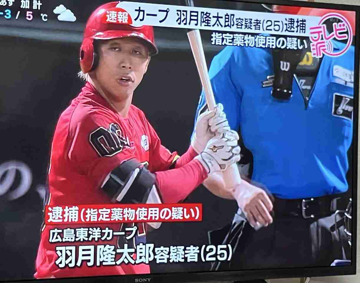 広島カープの羽月隆太郎容疑者(25)を逮捕　エトミデート（ゾンビたばこ）を若干量自己の身体に摂取したか　容疑を否認　広島県警