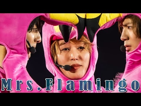 HiHi Jets「Mrs.Flamingo」（Arena Tour 2024 BINGO）