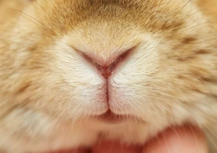ちょっと言いにくいフェチの人!