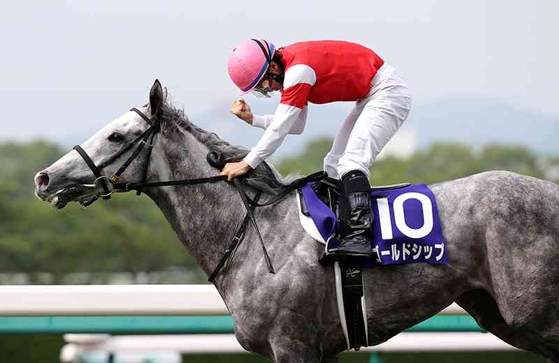 【午年?】競馬について語ろう【初心者もベテランも】