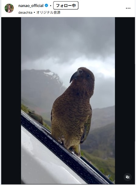 菜々緒、一糸まとわぬ衝撃バックショット&黒ビキニ水着の大自然満喫動画公開