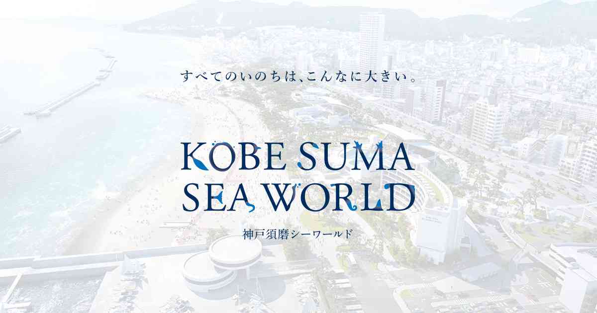 日頃の感謝を込めて「兵庫県民感謝月間」を開催｜イベント情報｜営業時間・料金｜神戸須磨シーワールド公式ホームページ