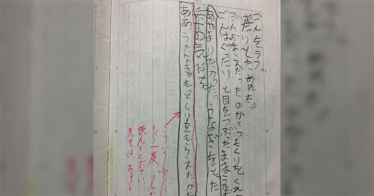 「ああ、うたなきゃもっとくりをもらえたのかな」小学校の頃、最低ごんぎつね感想文を書いたら先生から「がっかり」と赤字に達筆でコメントされた - Togetter