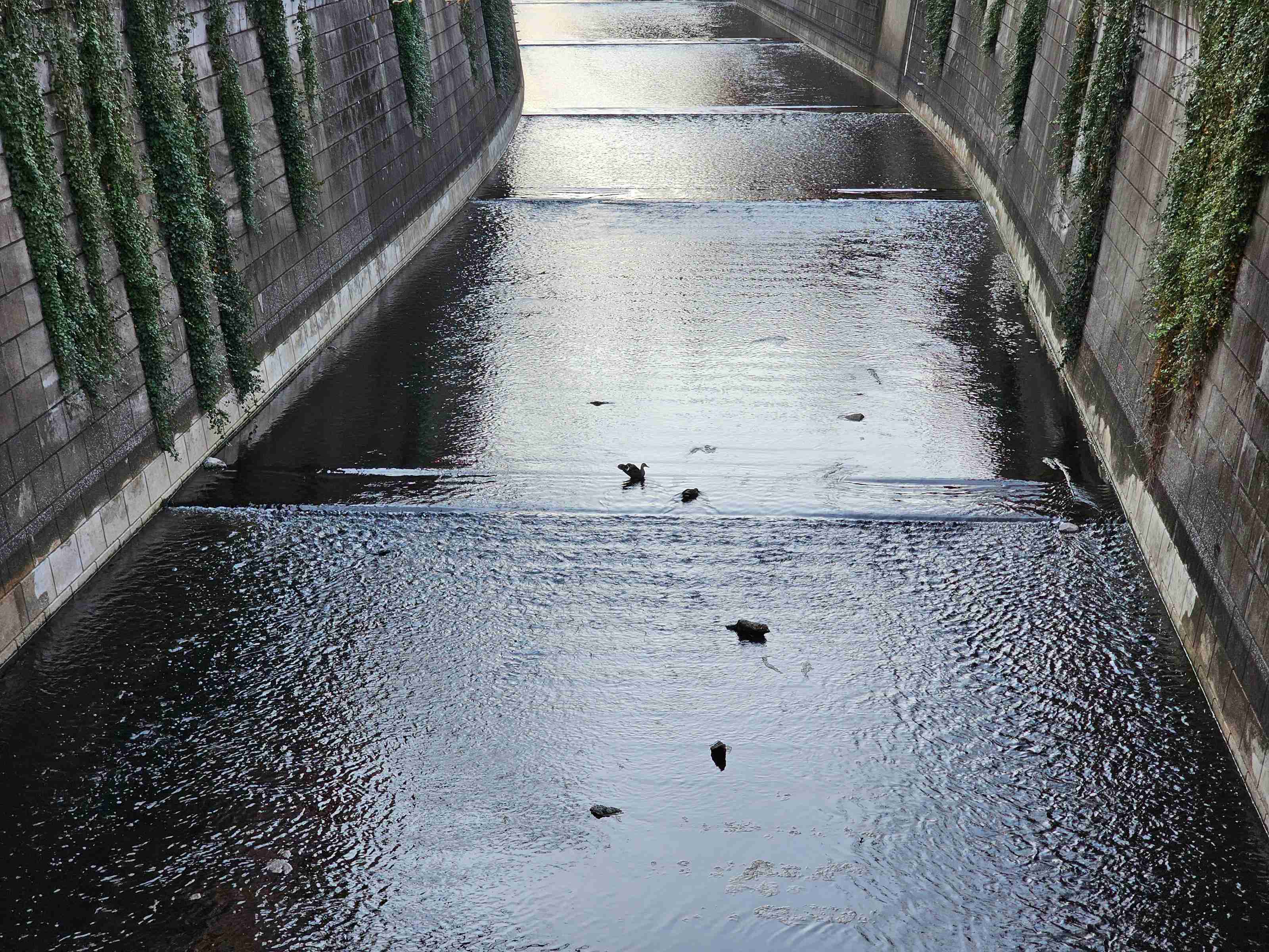 「中目黒に住んでるの？おしゃれだね」→住民「そんなことないんだけどな…」はなぜ起きる？「おしゃれタウン」中目黒の意外な実像