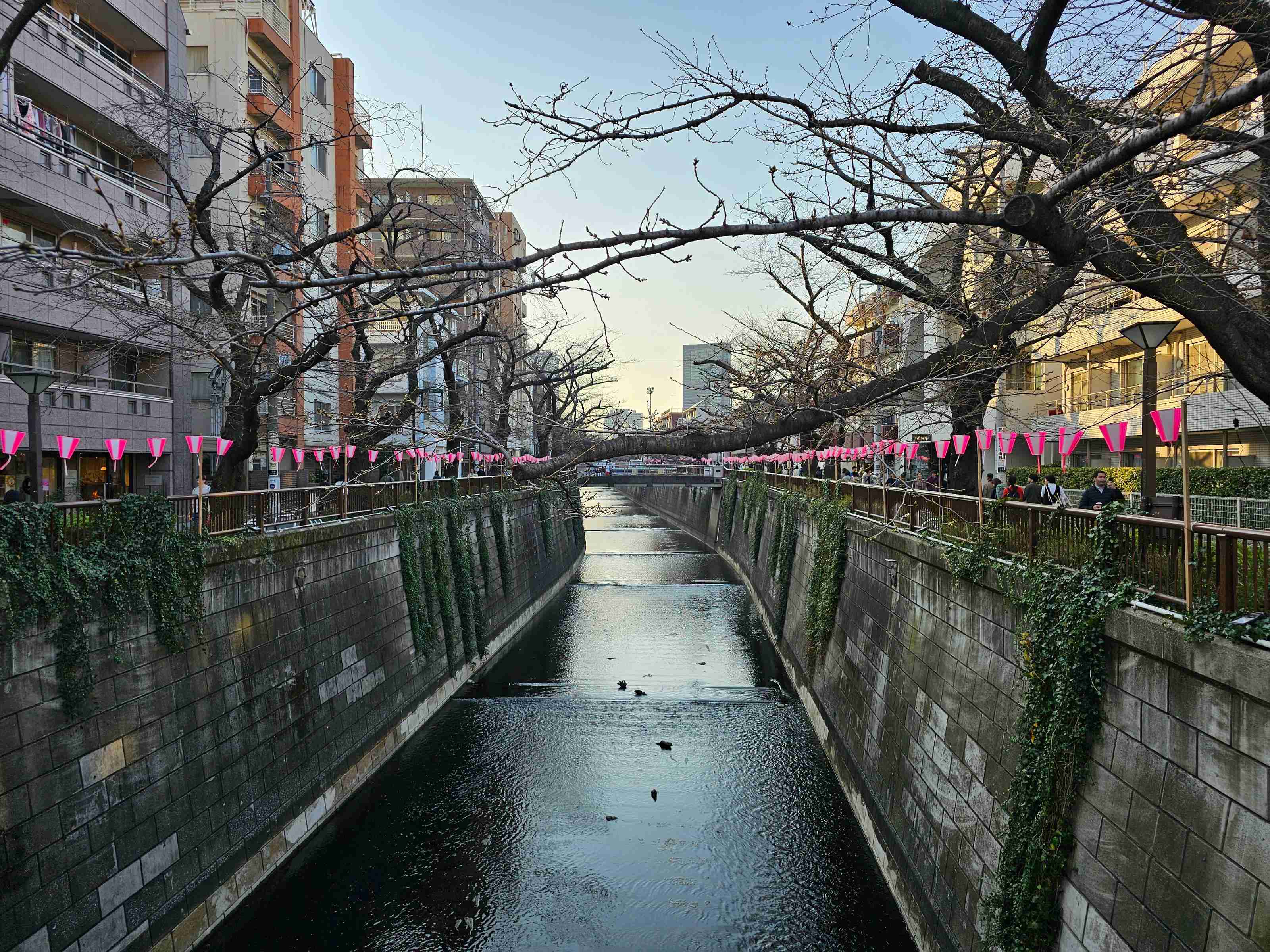 「中目黒に住んでるの？おしゃれだね」→住民「そんなことないんだけどな…」はなぜ起きる？「おしゃれタウン」中目黒の意外な実像