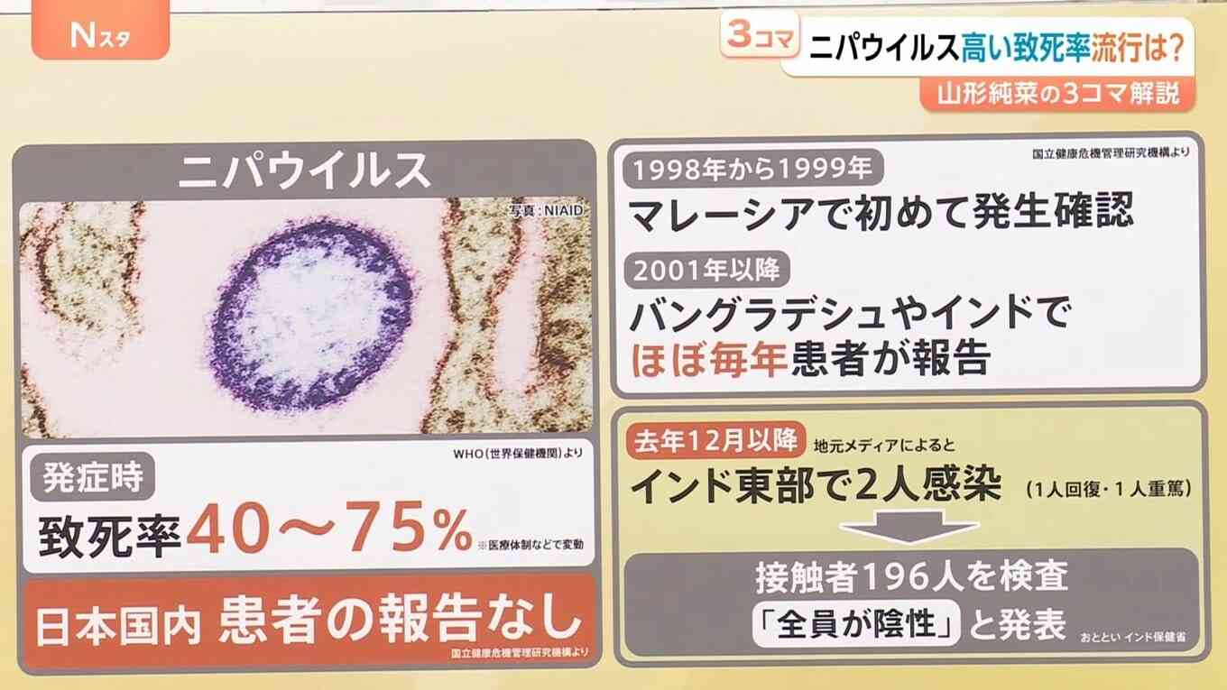 高い致死率「ニパウイルス」アジア各国で流行の懸念 ワクチン・特効薬なし…日本への流入リスクは?【Nスタ解説】
