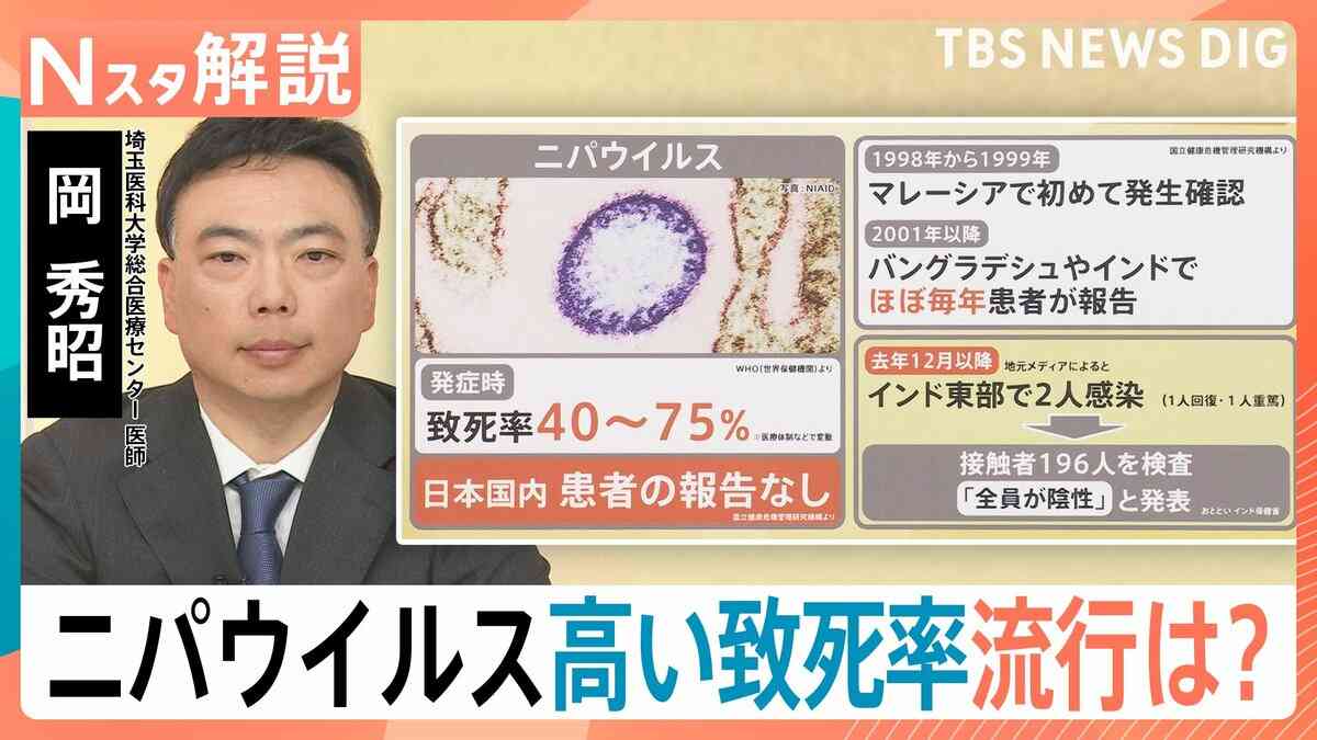 高い致死率「ニパウイルス」アジア各国で流行の懸念　ワクチン・特効薬なし…日本への流入リスクは？【Nスタ解説】 | TBS NEWS DIG
