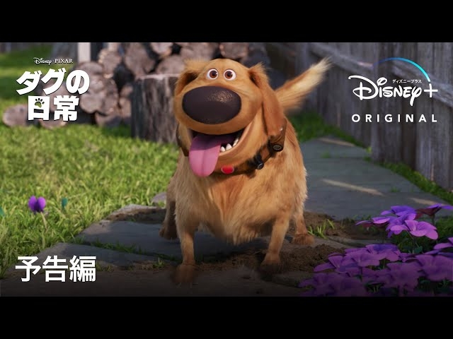 犬を太らせる方法