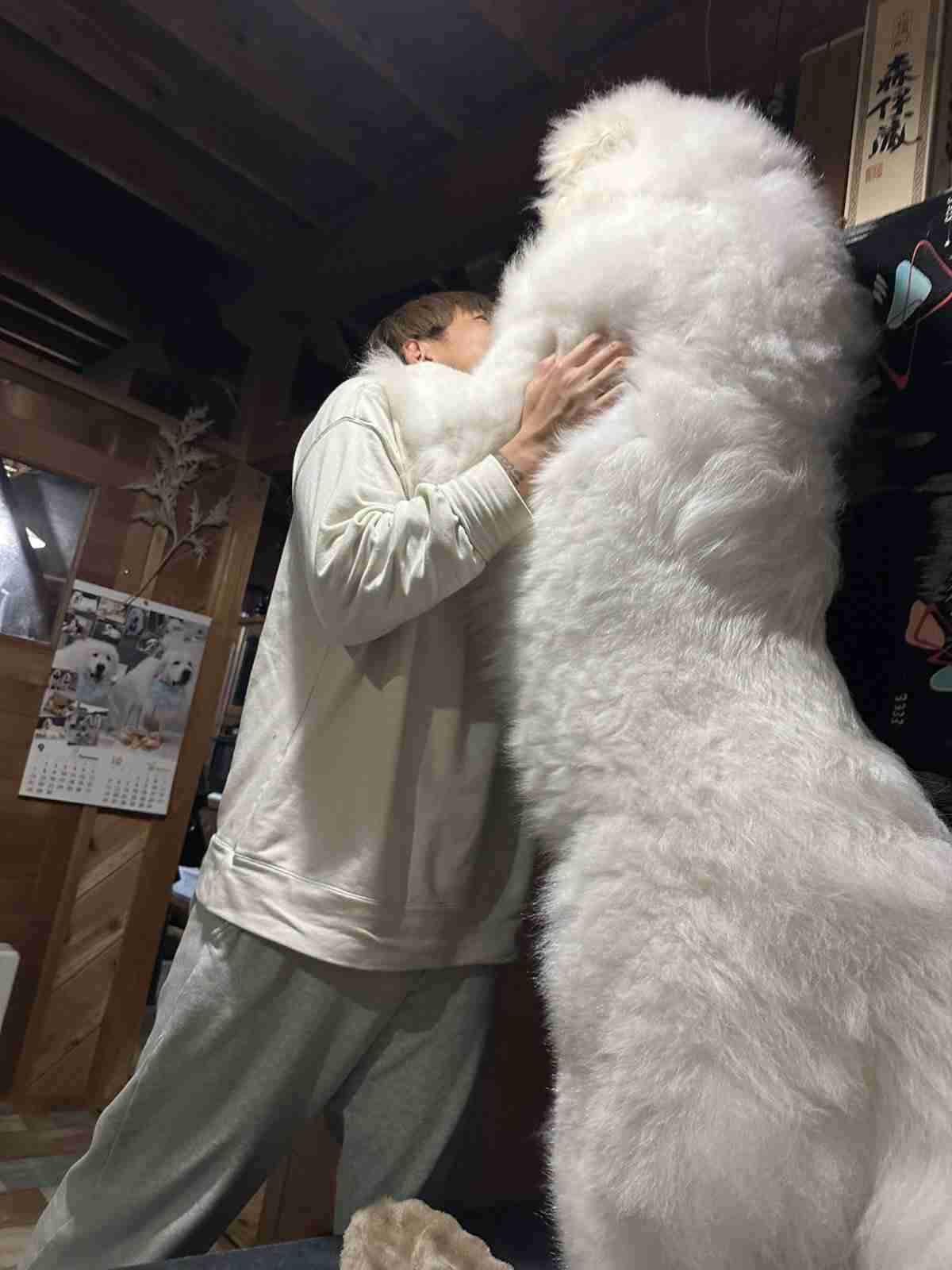 「巨大化が止まらない」生後11ヶ月の子犬とは思えない圧巻の成長ぶりにSNSが衝撃「これで子犬?」