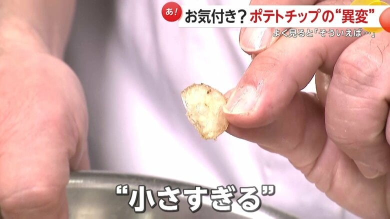 「皮むいたらほとんどない」記録的猛暑と少雨でジャガイモ不作…ポテトチップスにも異変?“小型化”で廃棄増加 価格も平年1.5倍に