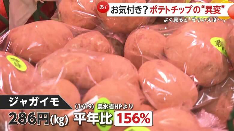 「皮むいたらほとんどない」記録的猛暑と少雨でジャガイモ不作…ポテトチップスにも異変?“小型化”で廃棄増加 価格も平年1.5倍に