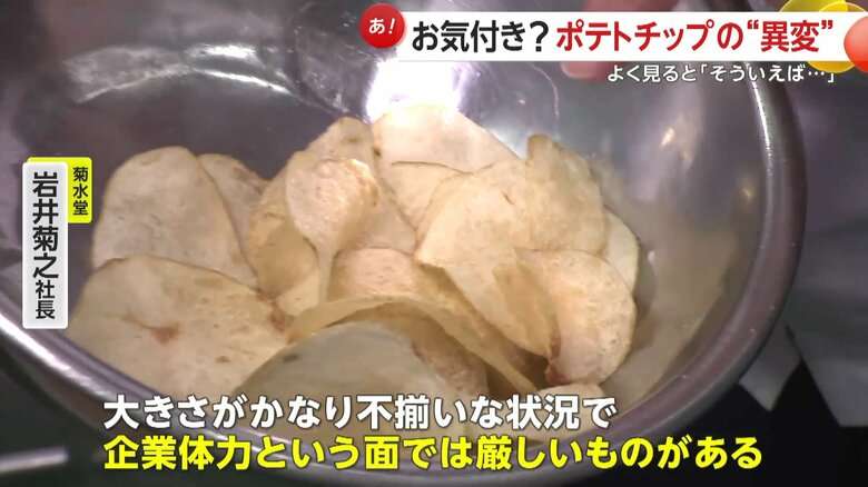 「皮むいたらほとんどない」記録的猛暑と少雨でジャガイモ不作…ポテトチップスにも異変?“小型化”で廃棄増加 価格も平年1.5倍に