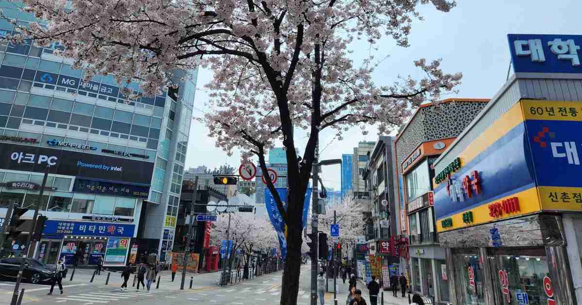 「祖国」でも「外国」でもない韓国　在日記者が留学して思ったこと | 毎日新聞