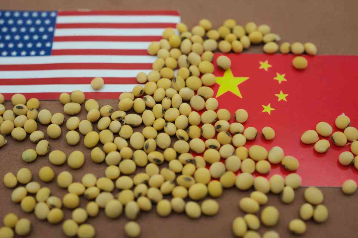 中国の米国産大豆輸入、前代未聞の「5カ月連続ゼロ」 貿易戦争の影響深刻（Forbes JAPAN） - Yahoo!ニュース