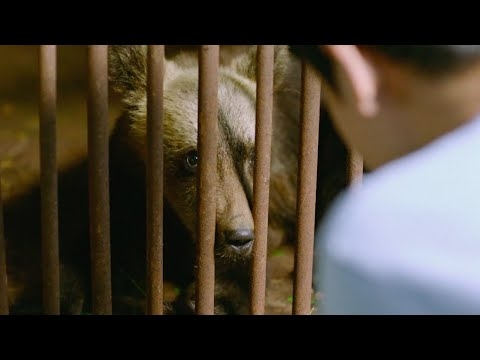 映画『アイヌモシリ』予告編