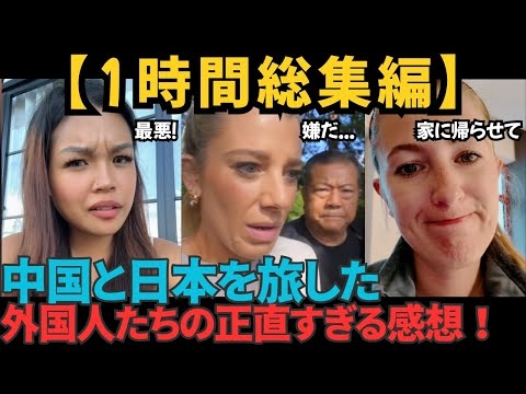 なぜ外国人は中国・日本に来るのか？本音トーク集【1時間まとめ】