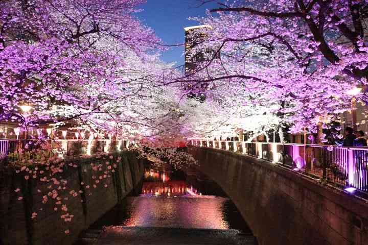 「中目黒に住んでるの？おしゃれだね」→住民「そんなことないんだけどな…」はなぜ起きる？「おしゃれタウン」中目黒の意外な実像
