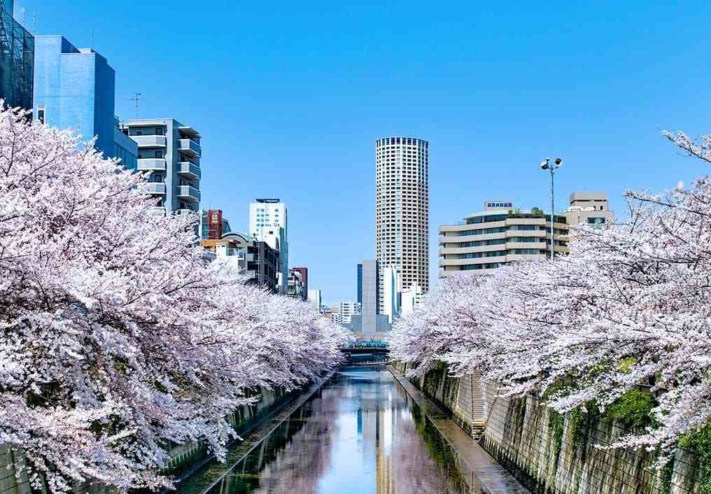 「中目黒に住んでるの？おしゃれだね」→住民「そんなことないんだけどな…」はなぜ起きる？「おしゃれタウン」中目黒の意外な実像