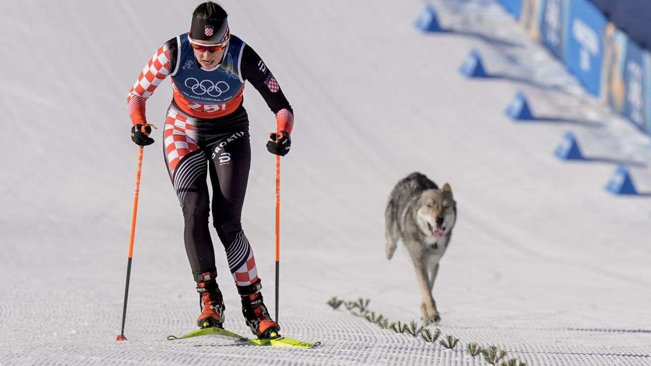 【珍事】乱入！クロスカントリーで選手と共に犬が気持ちよくゴール　フィニッシュ写真も撮られる粋な対応　ミラノ・コルティナ五輪