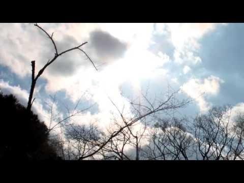 風の又三郎より思い出したドードドの歌