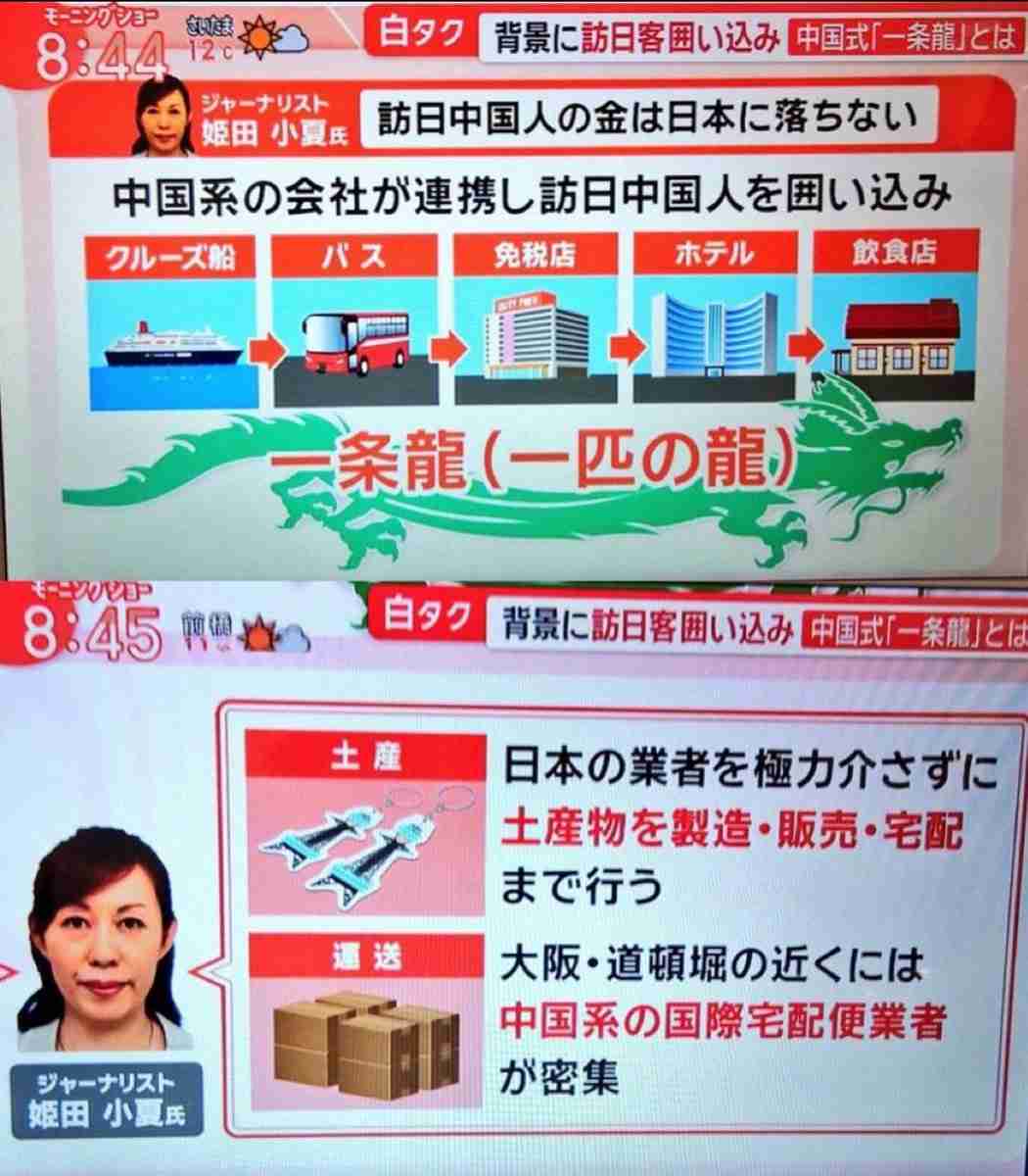 訪日外国人は九州新幹線の博多から鹿児島中央まで片道無料――鹿児島県が観光の「稼ぐ力」向上へ全額助成