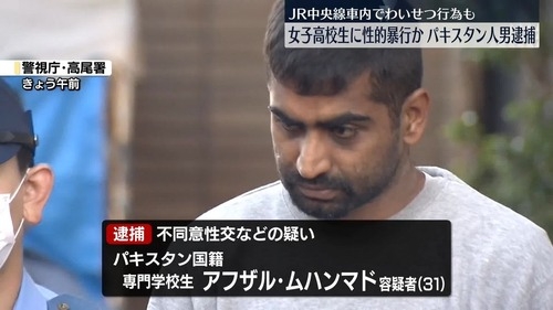 【東京】女子高生　パキスタン人に電車内で痴漢された上に終点の高尾駅で腕をつかまれ道路脇で性的暴行される:ハムスター速報