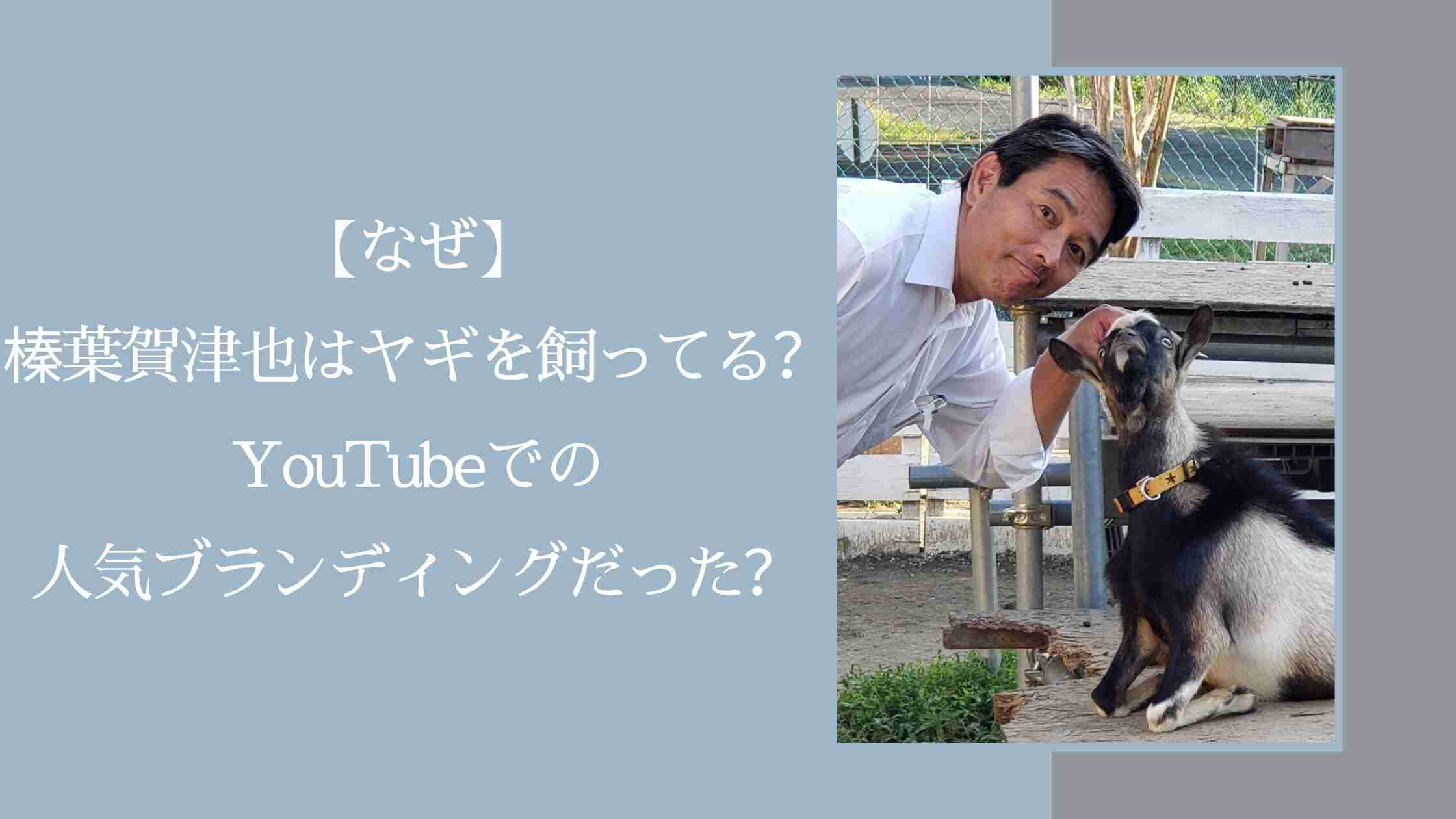 【なぜ】榛葉賀津也はヤギを飼ってる？YouTubeでの人気ブランディングだった？