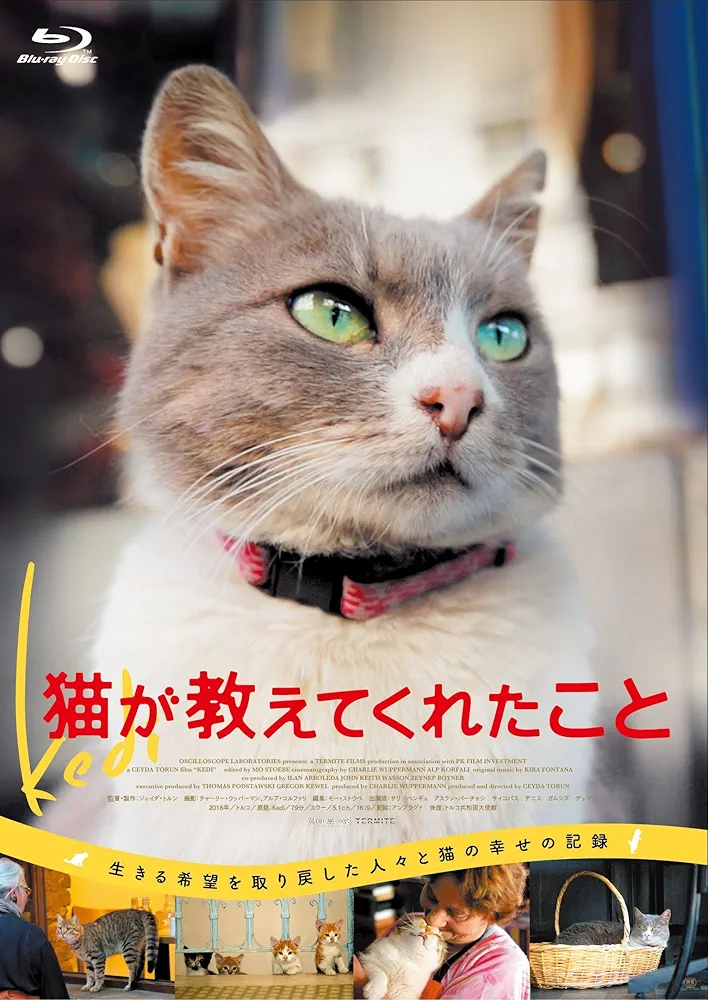 猫好きの心をくすぐる映画、教えてください