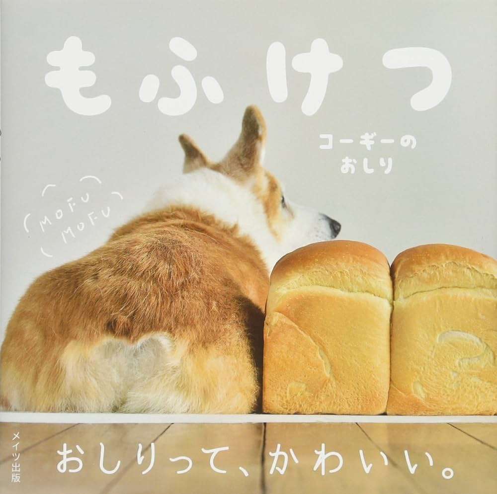 世間の80%くらいは認めるであろう可愛いもの